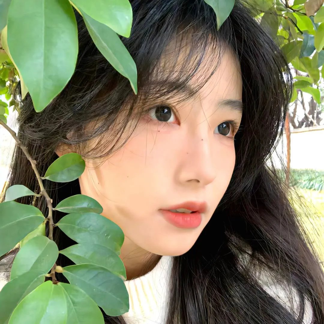 玉楼春梦